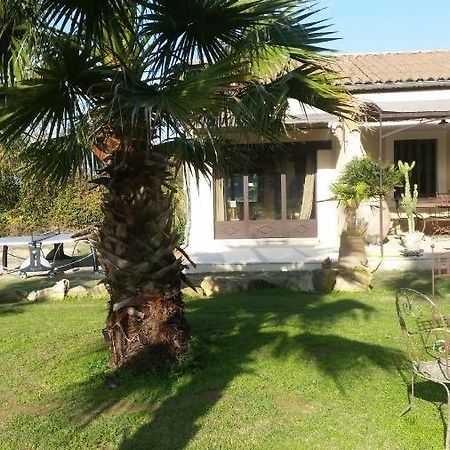 Bed and Breakfast Provence à Carpentras Extérieur photo