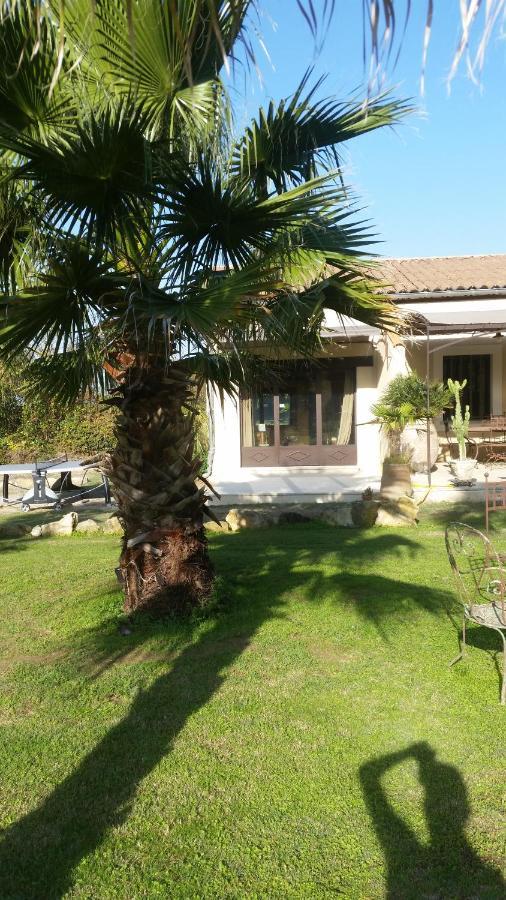 Bed and Breakfast Provence à Carpentras Extérieur photo