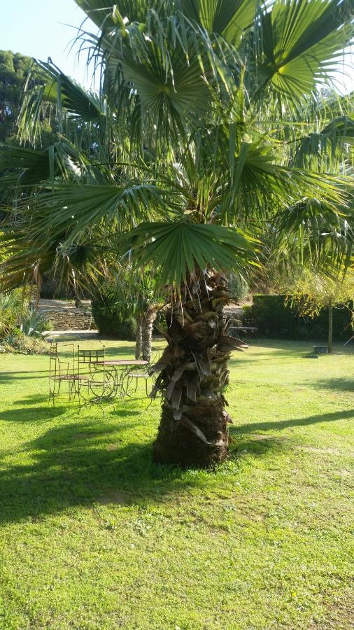 Bed and Breakfast Provence à Carpentras Extérieur photo